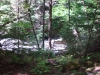 31-08-2008_20090119_1781059381