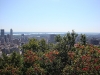 01-09-2008_20090119_1408657291