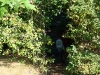 02-09-2008_20090119_1790890410