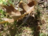 23-08-2008_20090118_1636395623