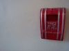 23-08-2008_20090118_2007673511