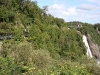 25-08-2008_20090118_1806499664