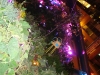 26-08-2008_20090118_1238780581