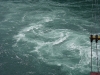 29-08-2008_20090119_1496308059