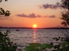 30-08-2008_20090119_1919185381