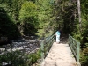 31-08-2008_20090119_1163276504
