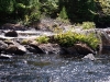 31-08-2008_20090119_1219698682