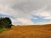 countryside_aug_2009_017