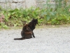 DSC_8472.jpg