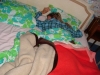 xmas_2008_20090121_1545039503